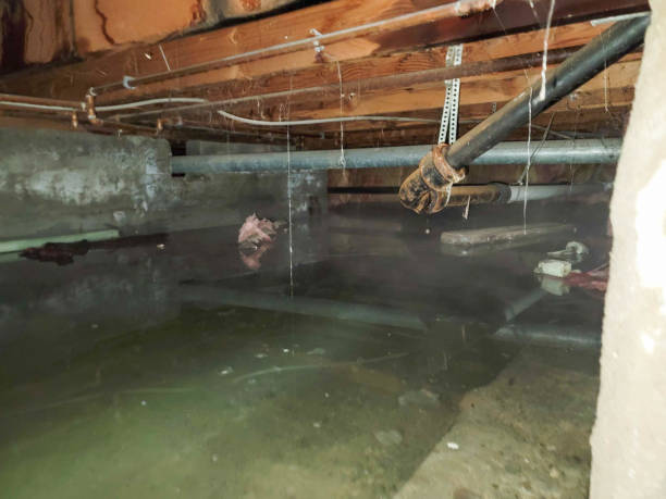 Best Emergency water extraction  in Good Hope, CA