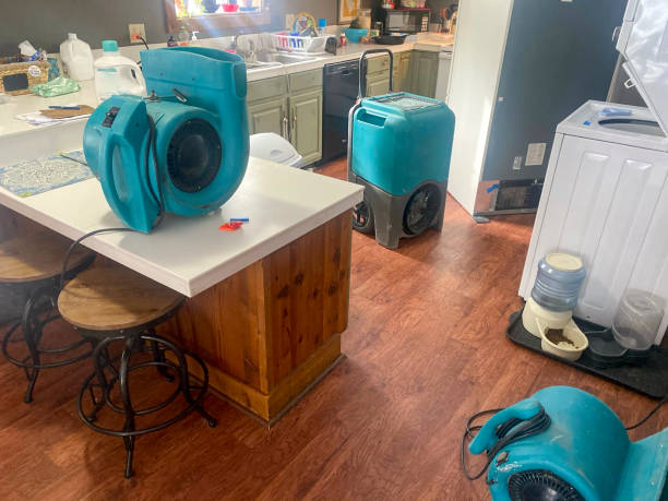 Best Flooded house restoration  in Good Hope, CA