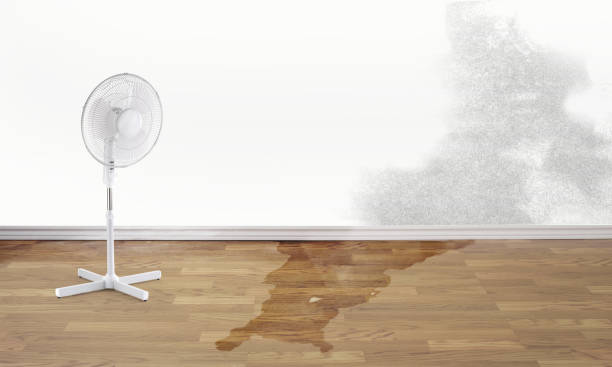 Best Flood damage cleanup  in Good Hope, CA