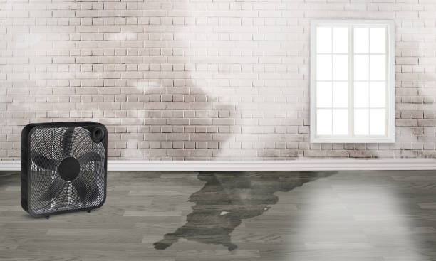 Best Professional water damage repair  in Good Hope, CA