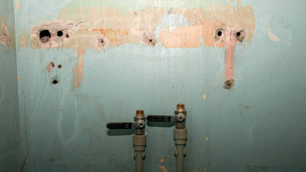 Best Water damage cleanup near me  in Good Hope, CA
