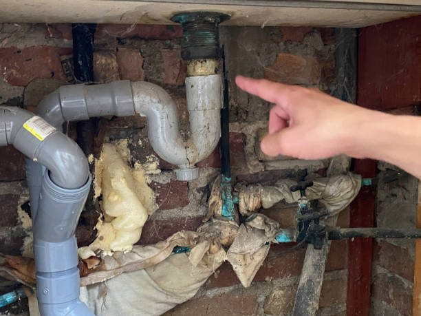 Best Water damage restoration mold remediation  in Good Hope, CA