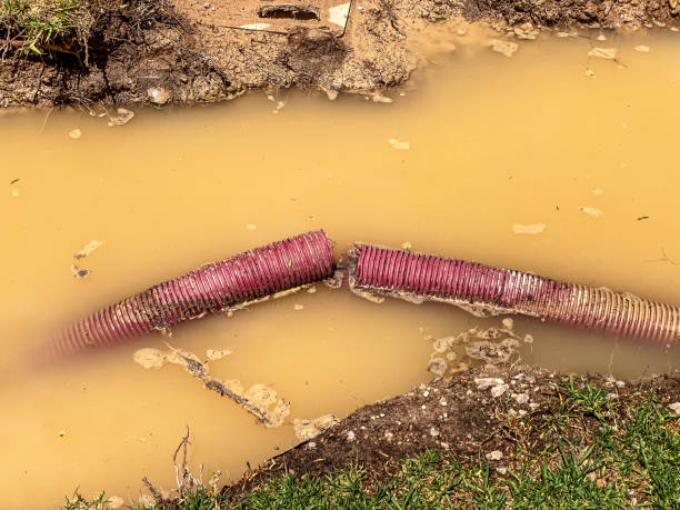 Best Water damage restoration services  in Good Hope, CA