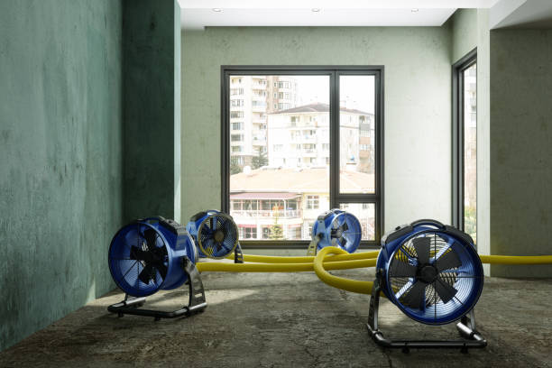 Best Professional water damage repair  in Good Hope, CA