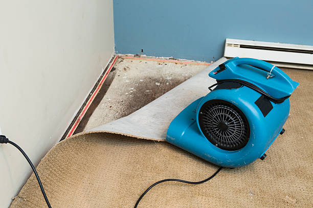  Good Hope, CA Water damage restoration Pros